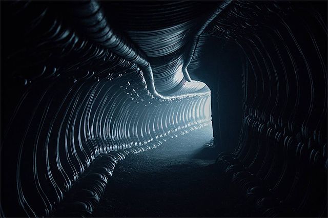 Imagen 11 de Alien: Covenant