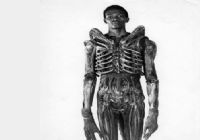 Imagen de Alien - 48