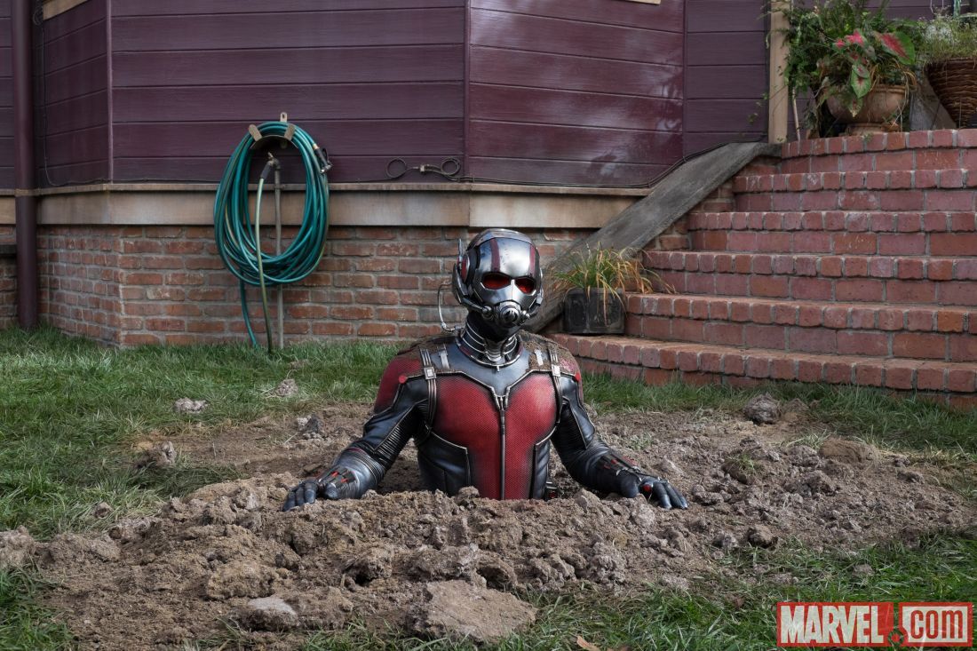 Imagen 43 de Ant-Man