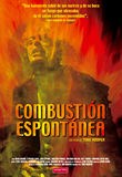 Combustión Espontánea