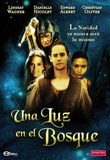 Una Luz en el Bosque