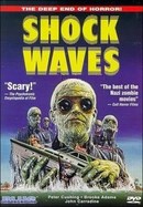 Shock Waves