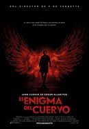 El enigma del cuervo