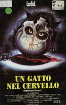 A Cat in the Brain