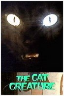 La gata