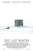 Poster de The Last Winter