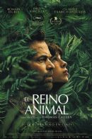 El Reino Animal