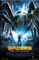 Spiders