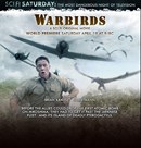 Poster de Warbirds