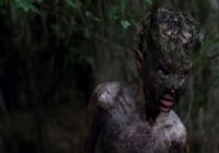 Imagen de Cub - 6