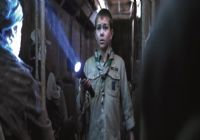 Imagen de Cub - 8