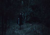 Imagen de El día trajo la oscuridad - 1