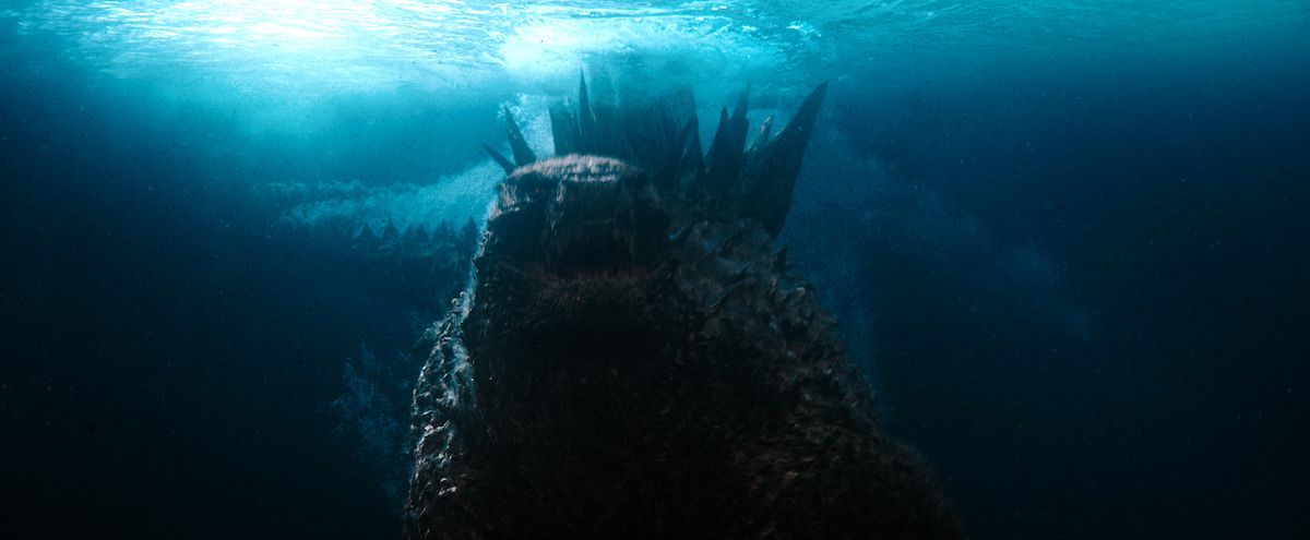 Imagen 19 de Godzilla vs Kong