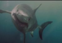 Imagen de Maneater - 2