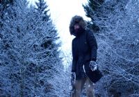 Imagen de Mountain Fever - 2
