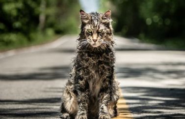 Lindsey Beer dirigirá una nueva entrega de "Cementerio de Animales"