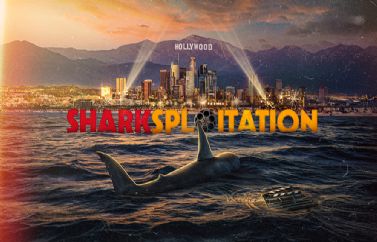 Anunciado "Sharksploitation", el documental sobre la proliferación del cine de tiburones
