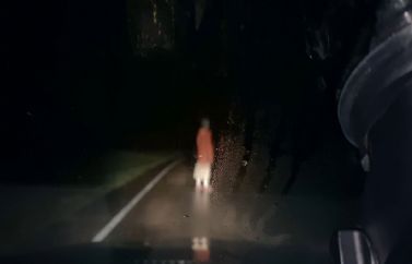 Teaser Tráiler de "Dashcam", lo nuevo del director de "Host"