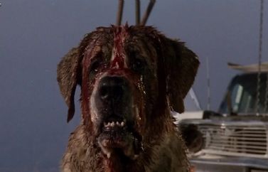 "Rattlesnakes", la nueva novela de Stephen King, es una secuela de "Cujo"