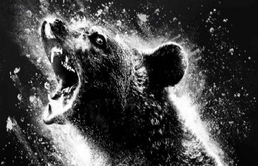"Oso Vicioso" se deja ver en un nuevo póster oficial
