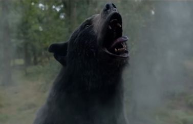Así se rodó "Oso Vicioso", el título que llegará a los cines el 31 de marzo