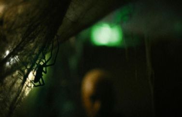 "Vermin" podrá verse en el Festival de Sitges antes de su estreno en cines