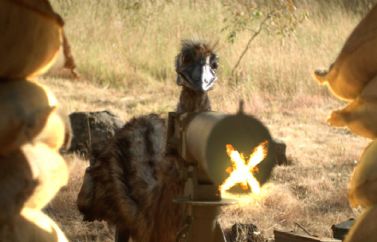 El tráiler de "The Emu War" es lo mejor que vais a ver hoy