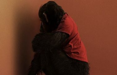 Primate retrasa su estreno en cines