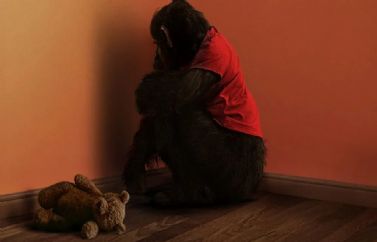 Primate: Detrás de las cámaras de la película