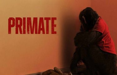 Primate: Crítica de la brutal y salvaje cinta de Johannes Roberts