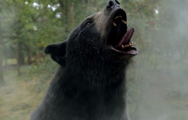 Oso Vicioso llega a Netflix. Crítica de la película de Elizabeth Banks