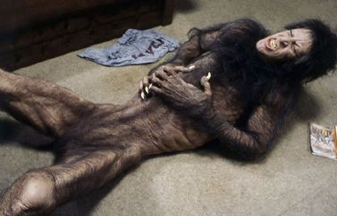 1981: Las 10 Mejores Películas de Terror del Año