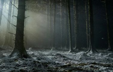 Primer vistazo a "Licántropo", el nuevo trabajo de Robert Eggers tras "Nosferatu"