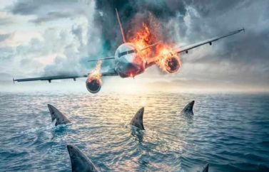 "En Mar Abierto", la nueva cinta de tiburones de Renny Harlin ("Deep Blue Sea"), aterriza este fin de semana en los cines