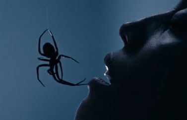 Arañas y Matilda Lutz en el trailer de "Crawlers"