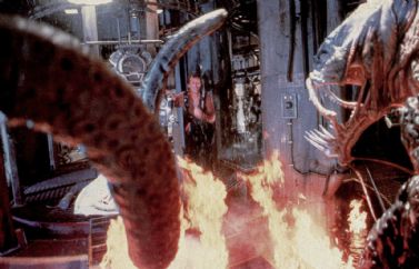 Terror Acuático, Infectados y abuelas malrolleras entre las películas de terror que han aterrizado en Prime Video