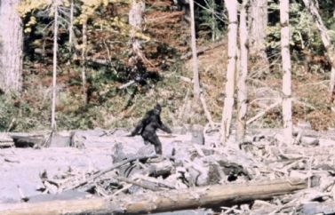 Trailer de "Capturing Bigfoot’, el documental que supuestamente resolverá las incógnitas sobre esta criatura