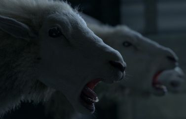 Black Sheeps: Nuevas imágenes oficiales del regreso de las ovejas asesinas