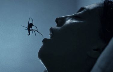 Nuevo clip, no apto para gente con aracnofobia, de la película "Crawlers" protagonizada por Matilda Lutz