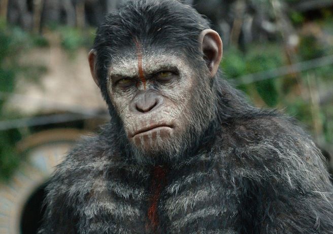 Comienzan los fichajes para "War Of the Planet of the Apes"