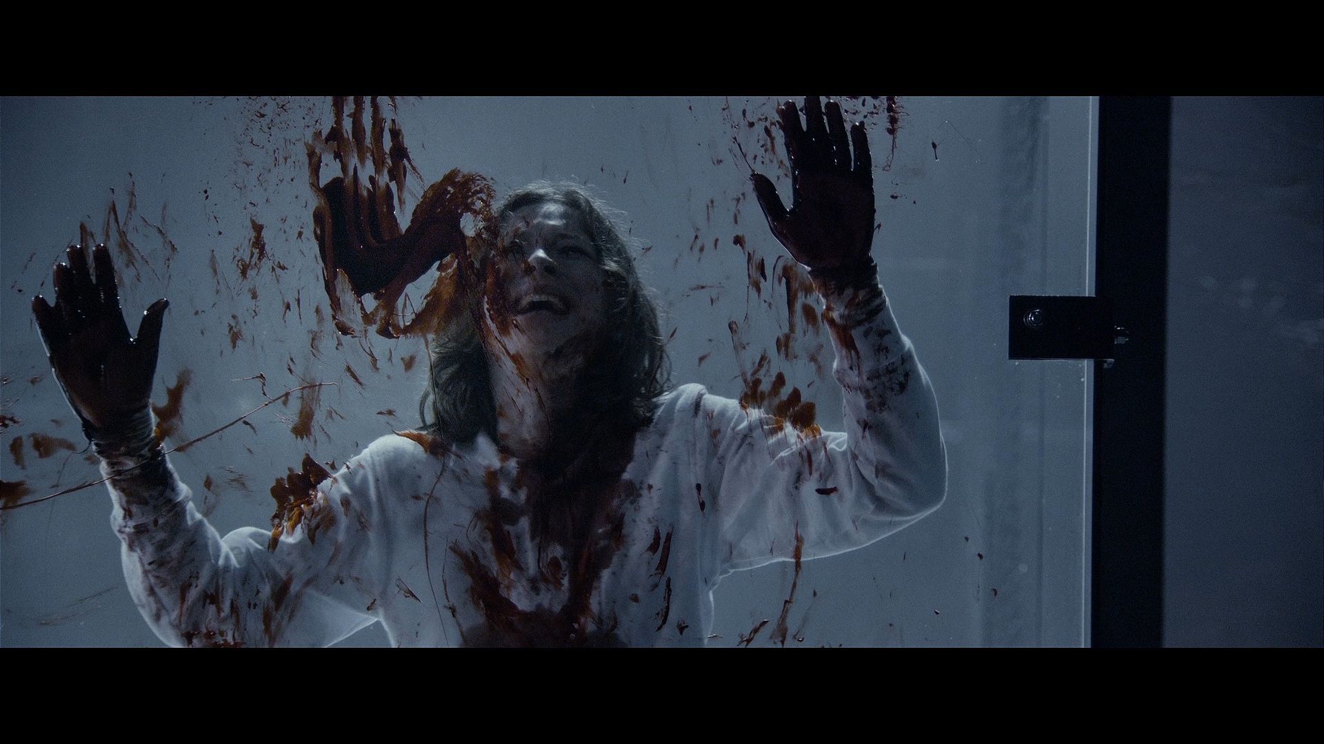 #Horror Trailer #Horror Trailer
