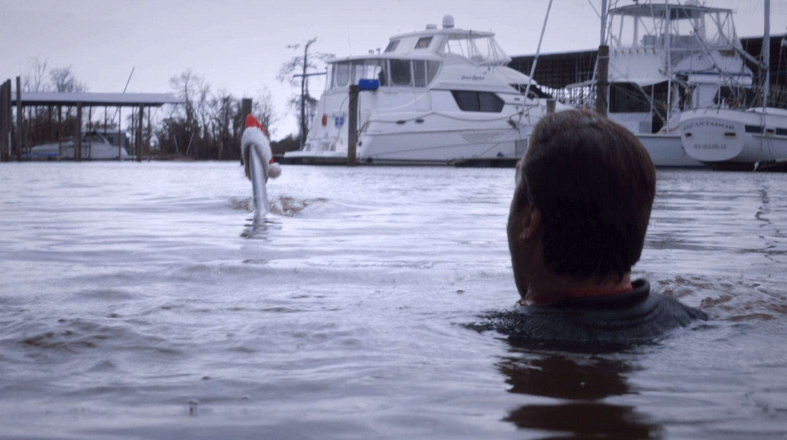 Syfy estrena hoy en USA "SANTA JAWS"... El tiburón navideño que faltaba