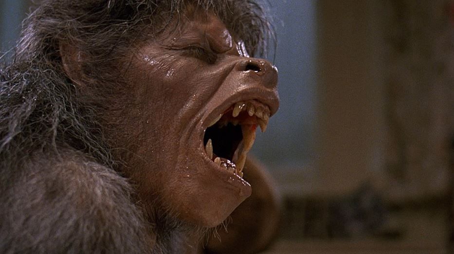 15 Películas de Hombres Lobo que no deberías perderte por nada del mundo -  