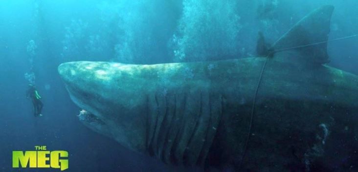 "Megalodón 2" ya está en desarollo después del éxito de la primera parte