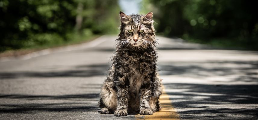 "Cementerio de Animales": Mañana tendremos nuevo tráiler de la película