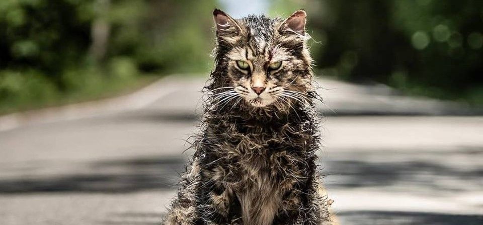 "Cementerio de Animales": Stephen King adora la película (pero no su novela)