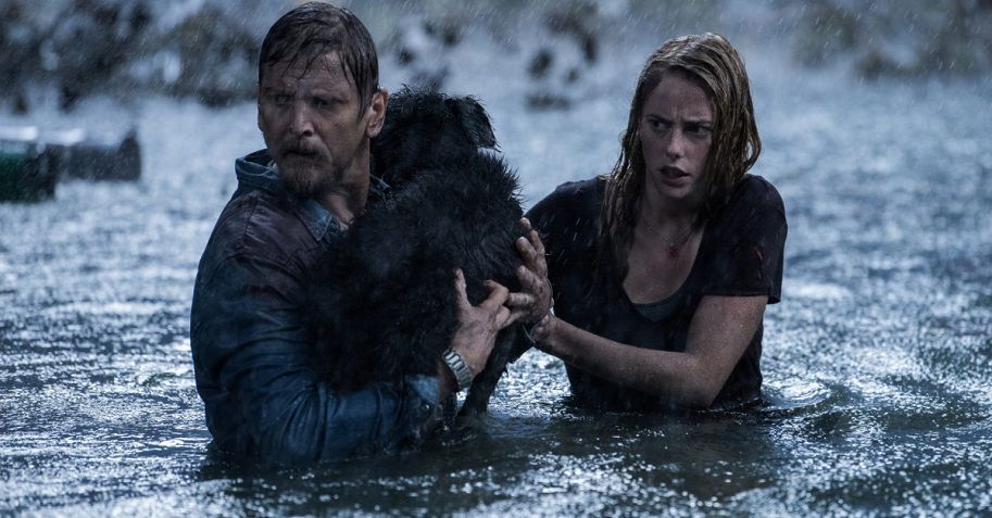 Primeras imágenes de "Crawl": Aja + Raimi + Huracanes + Bestias Marinas