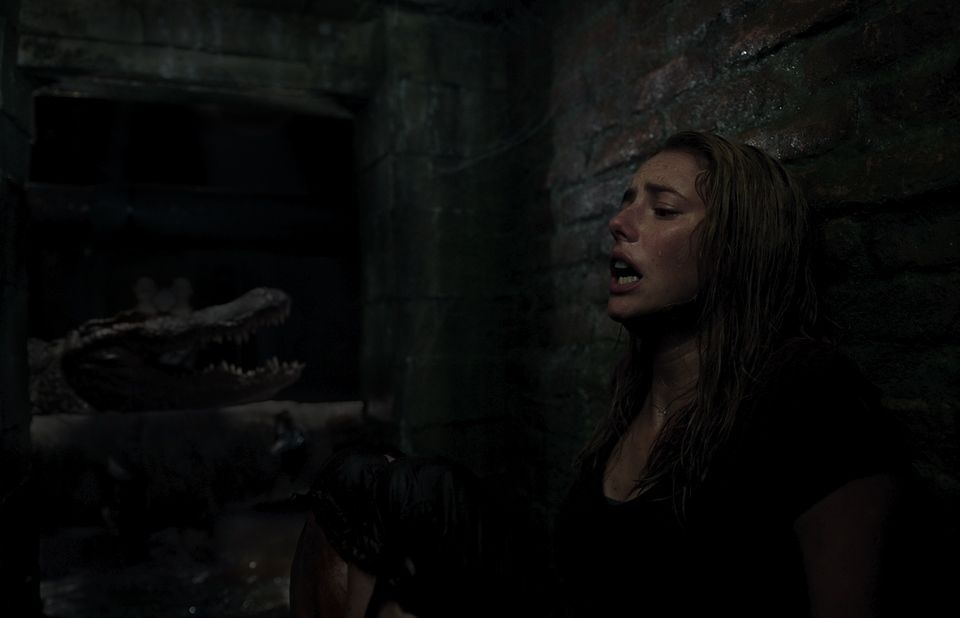 "Infierno Bajo el Agua": Una decena de imágenes del título de Alexandre Aja producido por Sam Raimi