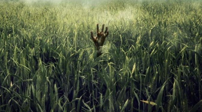 "En la hierba alta", la adaptación del relato de Stephen King y Joe Hill, inaugurará Sitges 2019