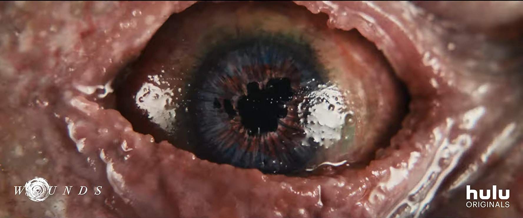 El tráiler de "WOUNDS" es lo más inquietante que vais a ver hoy